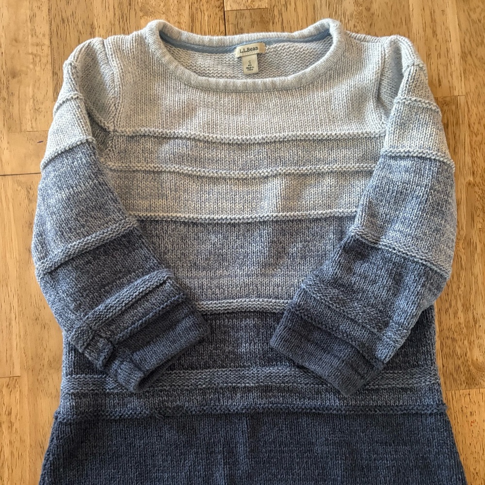 L.L. Bean sweater (S)